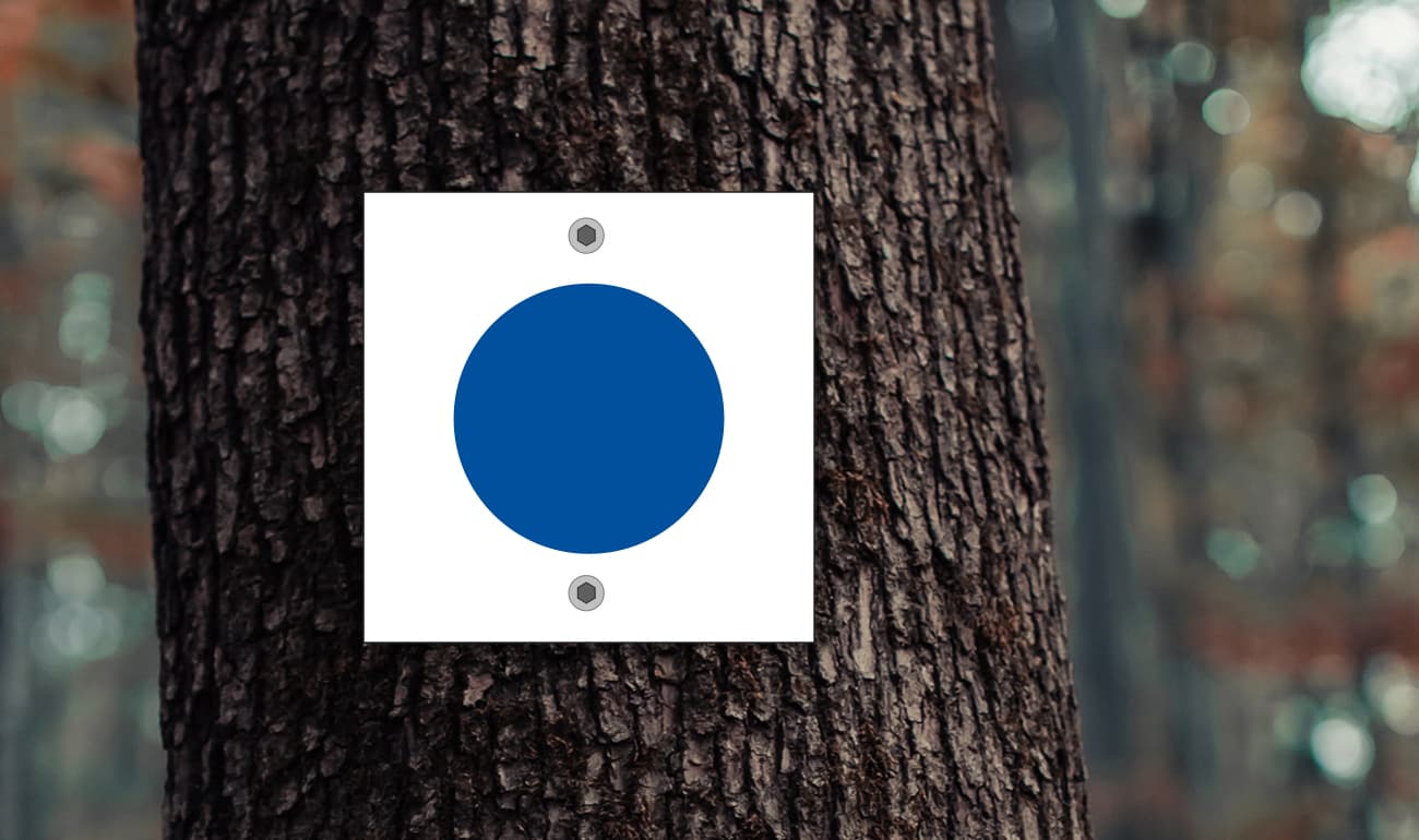 weißes Quadrat mit blauem Kreis auf Baumstamm