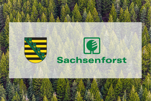 Logo des Freistaat Sachsens und Sachsenforst