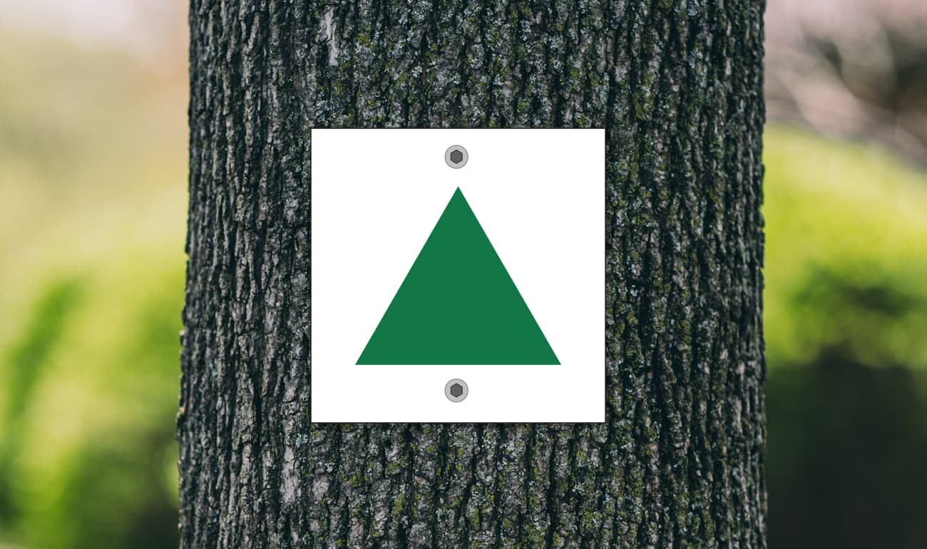 weißes Quadrat mit grünem Dreieck auf Baumstamm